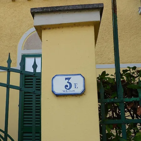 Fernanda Forte dei Marmi